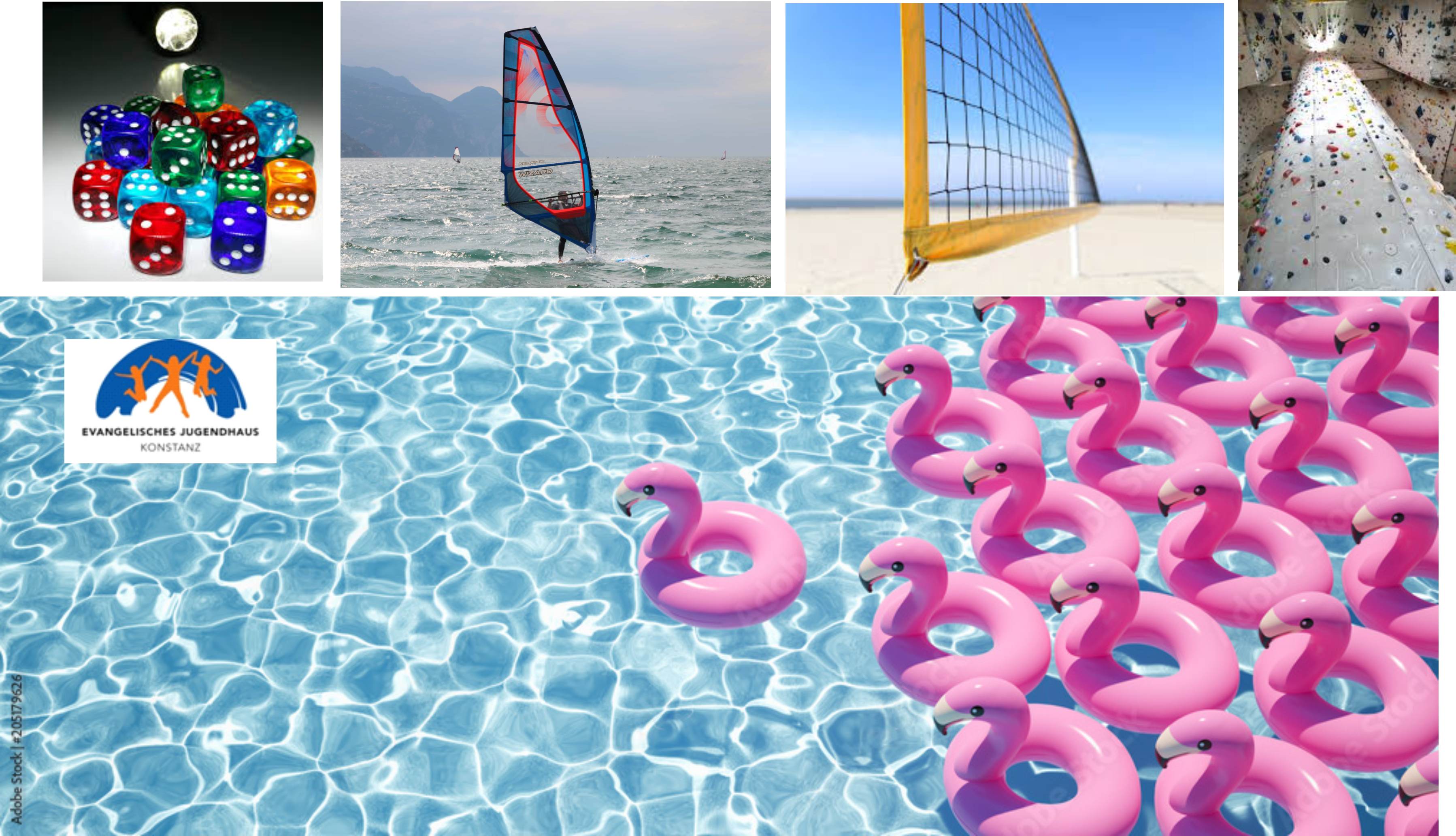 SoFeProgramm Flamingos 2026